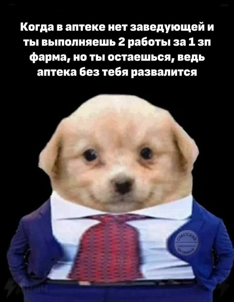 Мем про аптеку и будни фармацевта