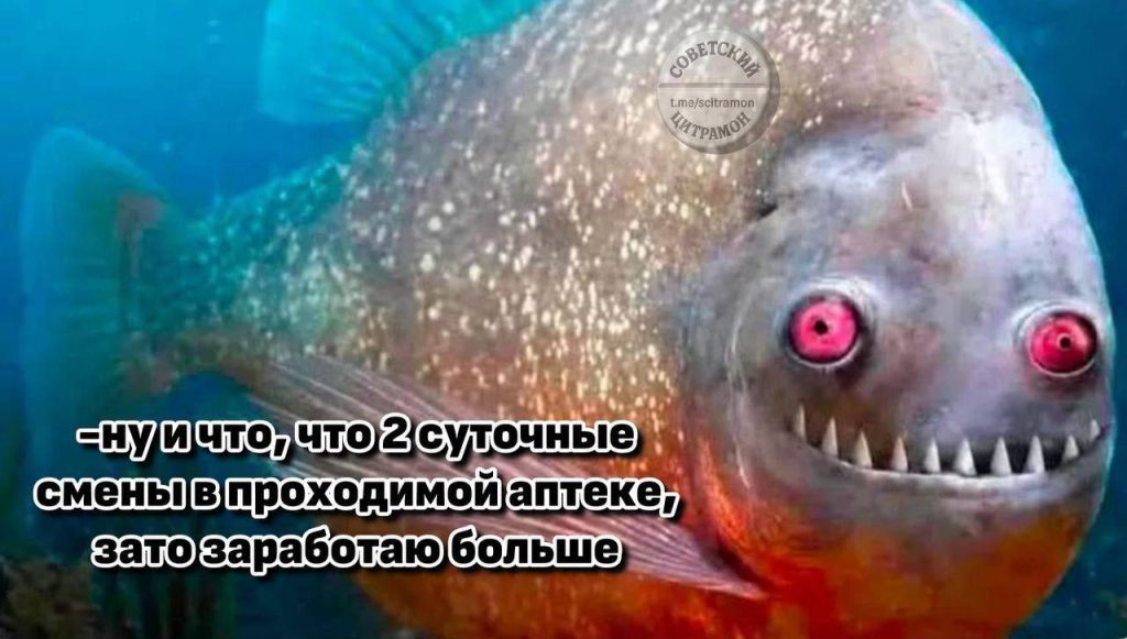 Мем про аптеку и будни фармацевта