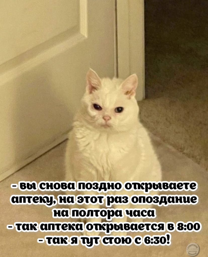 Мем про аптеку и будни фармацевта